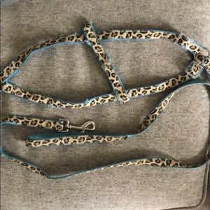 Dog leash and Harness